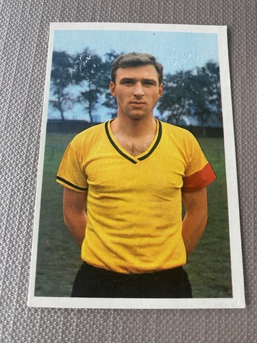 Fußball bild bundesliga - fußball,