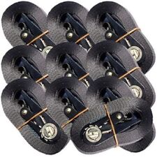 Posten Spanngurte Zurrgurt