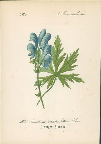 Chromolithographie rispiger - chromolithographie, :