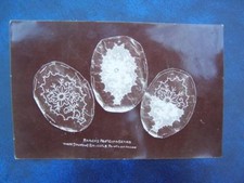 Drei Stufen der Brüsseler