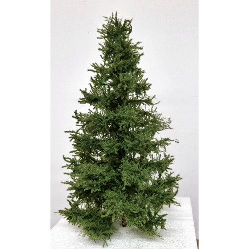 Fichte premium 25cm - premium, 23-25cm