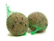 Große Fett-/Suetkugeln (mit