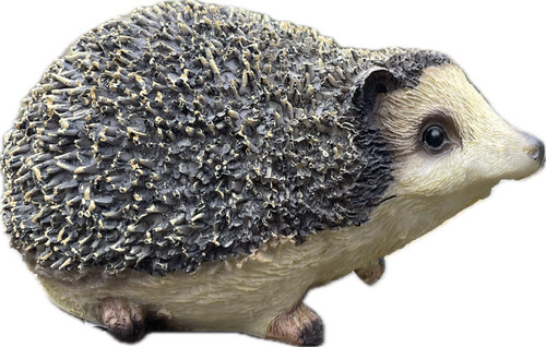 Igel natur lebensecht stachel - igel,