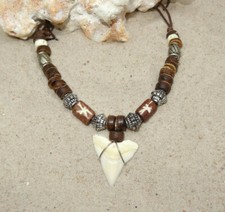 n 188-H / Echter HAI ZAHN