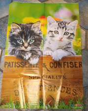 Tierposter Katzen Medizini