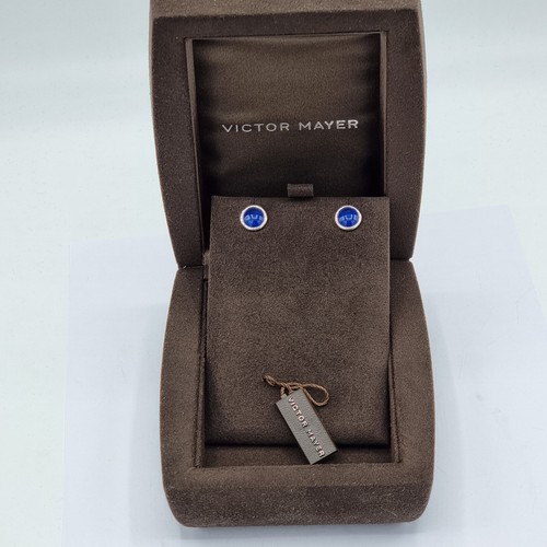 D17 viktor mayer blaue - viktor,