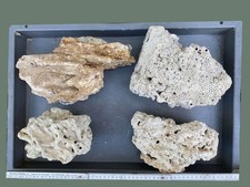 Dekogestein für Meerwasseraquarium, Riffgestein aus Aquarienauflösung, 6,4kg