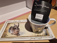 Goebel Art Orbis Dürer Hase