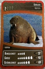 OZEANIEN  7. Schätze unseres