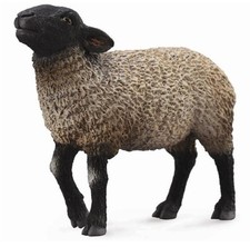 Collecta 88636 Schaf Suffolk 8