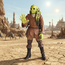 STAR WARS THE LEGACY