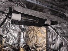 Growschrank für den Anbau von Hanfgplanzen