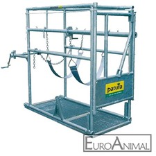 Klauenpflegestand Compact 1 mit Hinterfußwinde / Behandlungsstand PATURA