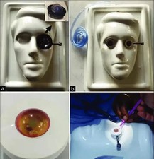 10 Phaco Übungsaugen für