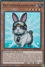 Rettungskaninchen RA02-DE008