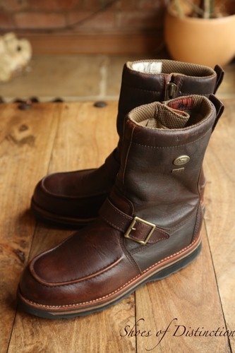 Redwing red wing - irish, settler