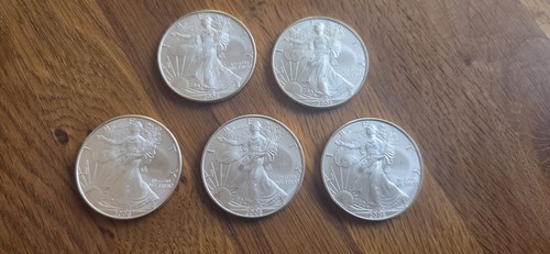 Usa silver eagle dollar - usa,