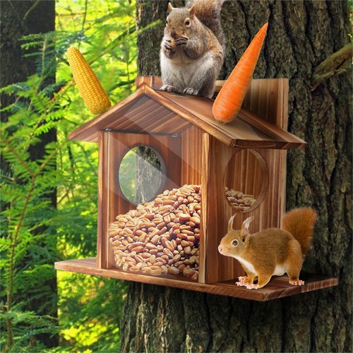Eichhörnchen futterhaus - eichhörnchen,