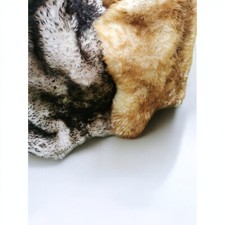 Geflammte Schaffelle, Echte