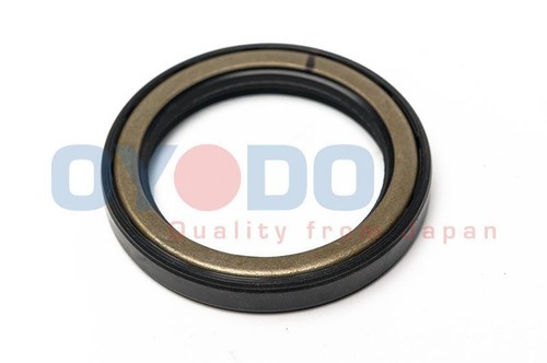 Oyodo 10n0064 oyo katalysator - 10n0064-oyo,