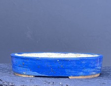 Bonsai Shohin Bonsaischale