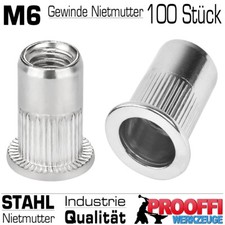 100 Stück M6 Gewinde