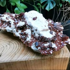 Sammlungsauflösung  Vanadinit