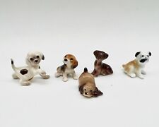 Sammlungsauflösung 5 Mini Porzellan Hunde Welpen Goebel? Miniatur Setzkasten