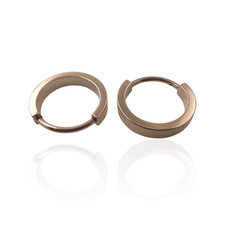 1 Paar Titan Creolen Ohrringe