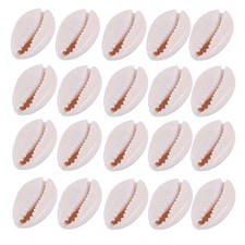 50pcs Natur Kauri Muscheln