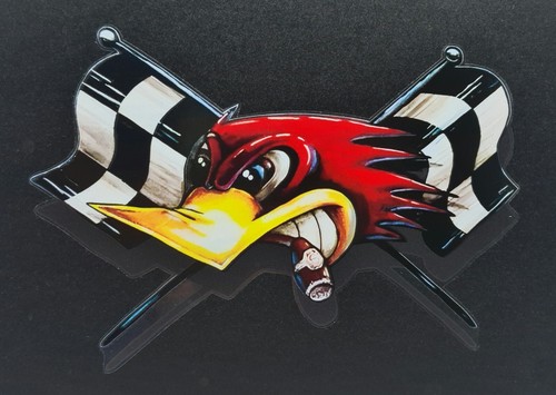 Aufkleber sticker racing - racing, duck