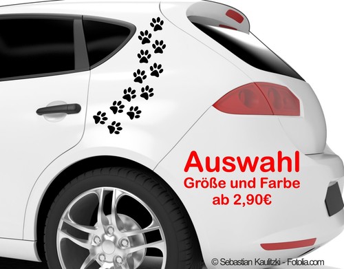 Hundepfoten pfoten hund - hundepfoten, ,