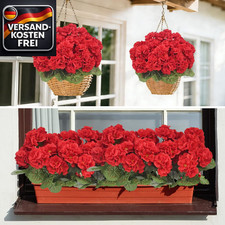 Künstliche Balkonpflanzen