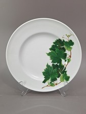 Dibbern Schönwald Herbaticum