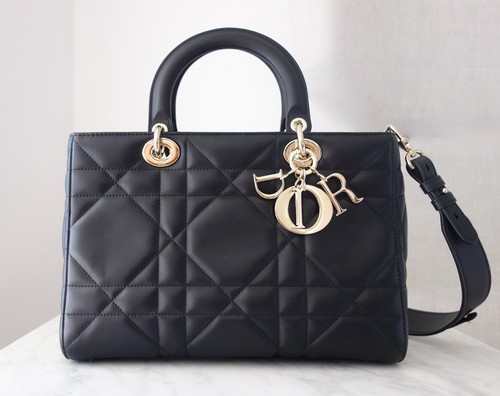 Lady dior sire - lady, tasche