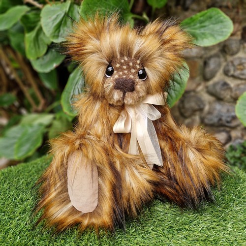 Kaycee bears waffle - bears,