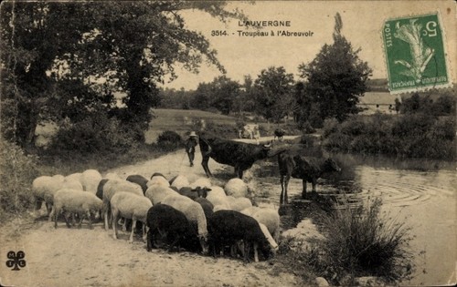 Troupeau l abreuvoir - ak,