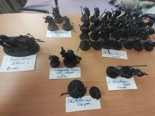 Age of Sigmar Orks /Orruks