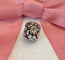 Original Pandora Charm
