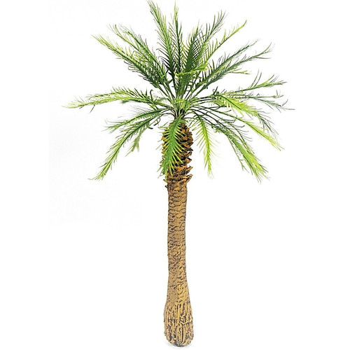 Palme dschungel höhe 26 - dschungel,