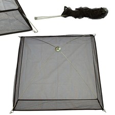 KÖDERFISCHSENKE, HOHER