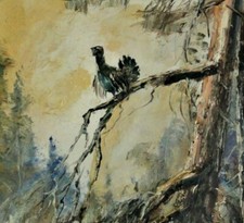 Paul Stöver (XX) tolles