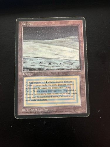 Mtg tundra played fbb - tundra,