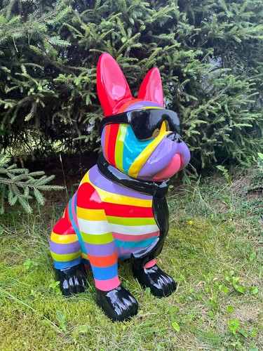 Französische bulldogge mit