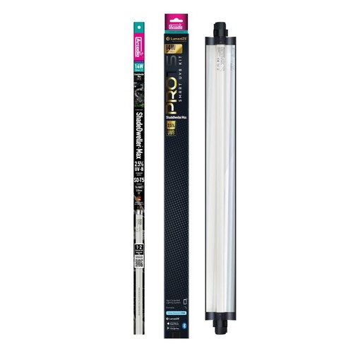 Arcadia lumenize prot5 smart - prot5,