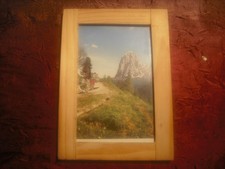 Donald Duck und Gustav Gans