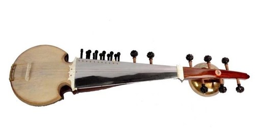 Bina sarod professionelles - bina,