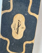 Loaded tan tien flex 2 longboard