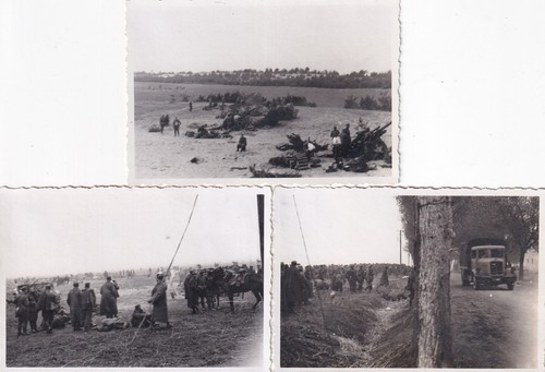 Foto szenen wohl - 3,