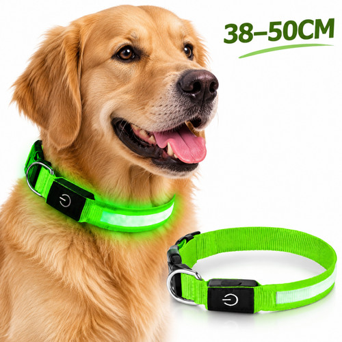 Led hundehalsband - led,